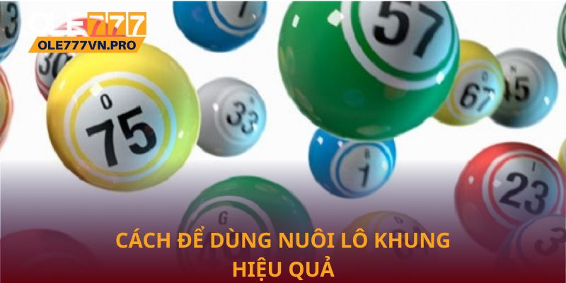 Cách để dùng nuôi lô khung hiệu quả nhất từ cao thủ