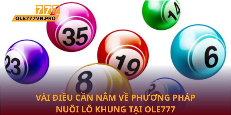 Vài điều cần nắm về phương pháp nuôi lô khung tại Ole777